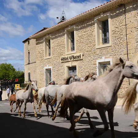 Restaurant O'banel * Gallargues-le-Montueux