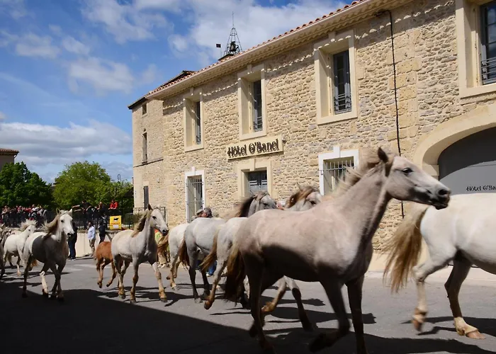 Restaurant O'banel * Gallargues-le-Montueux
